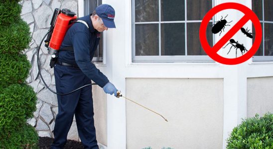 Fethiye Böcek İlaçlama böcek ilaçlama ve haşere kontrolü — ilaclama-tr.com